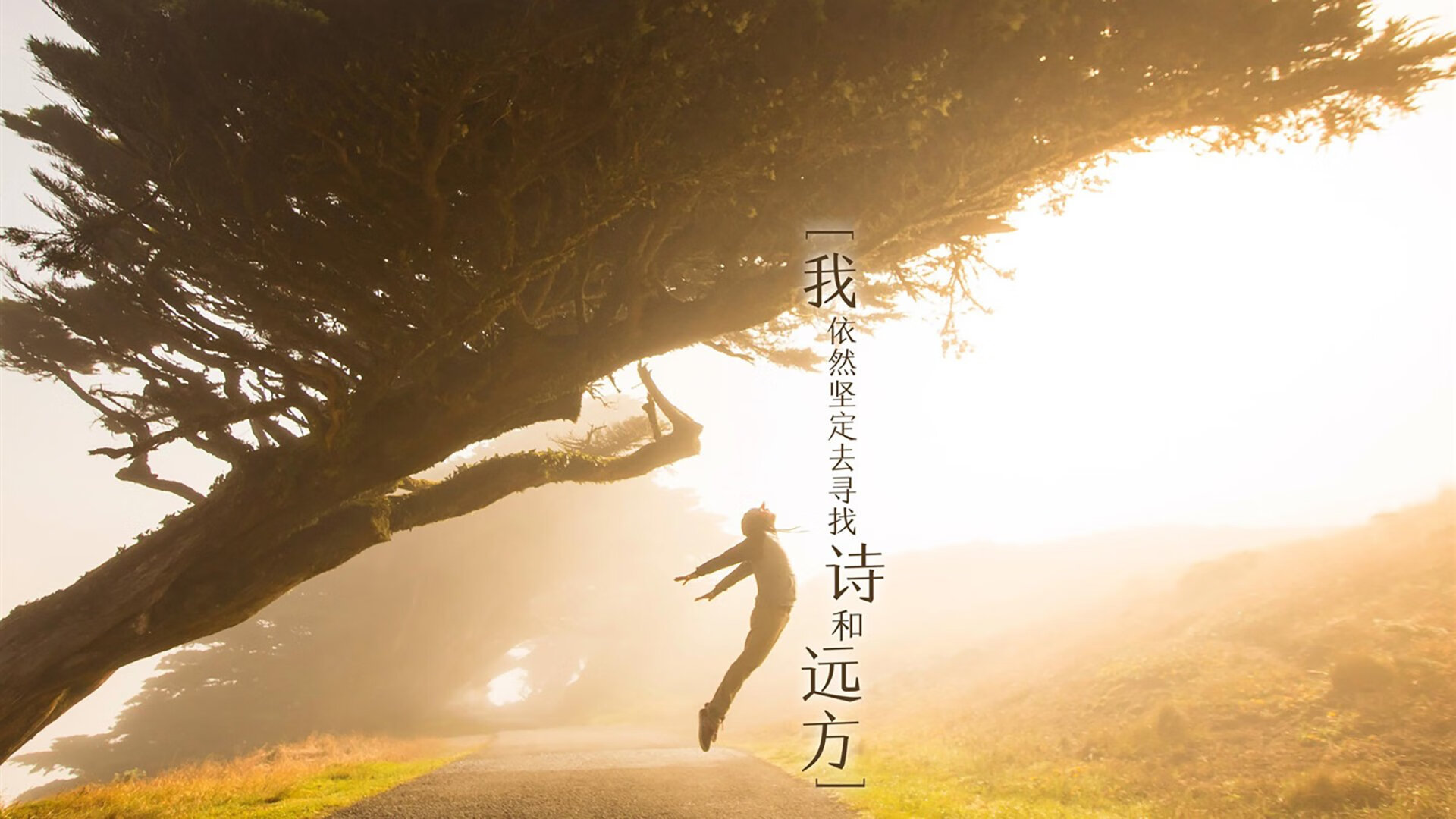 凝聚胜利的“团队力量”,万众一心迎冠军,凝聚团队力量视频