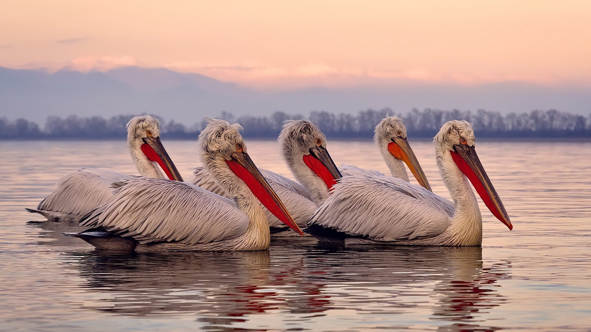 印度男子板球队因雨天比赛取消，凭借国际排名获得金牌。，印度板球队长