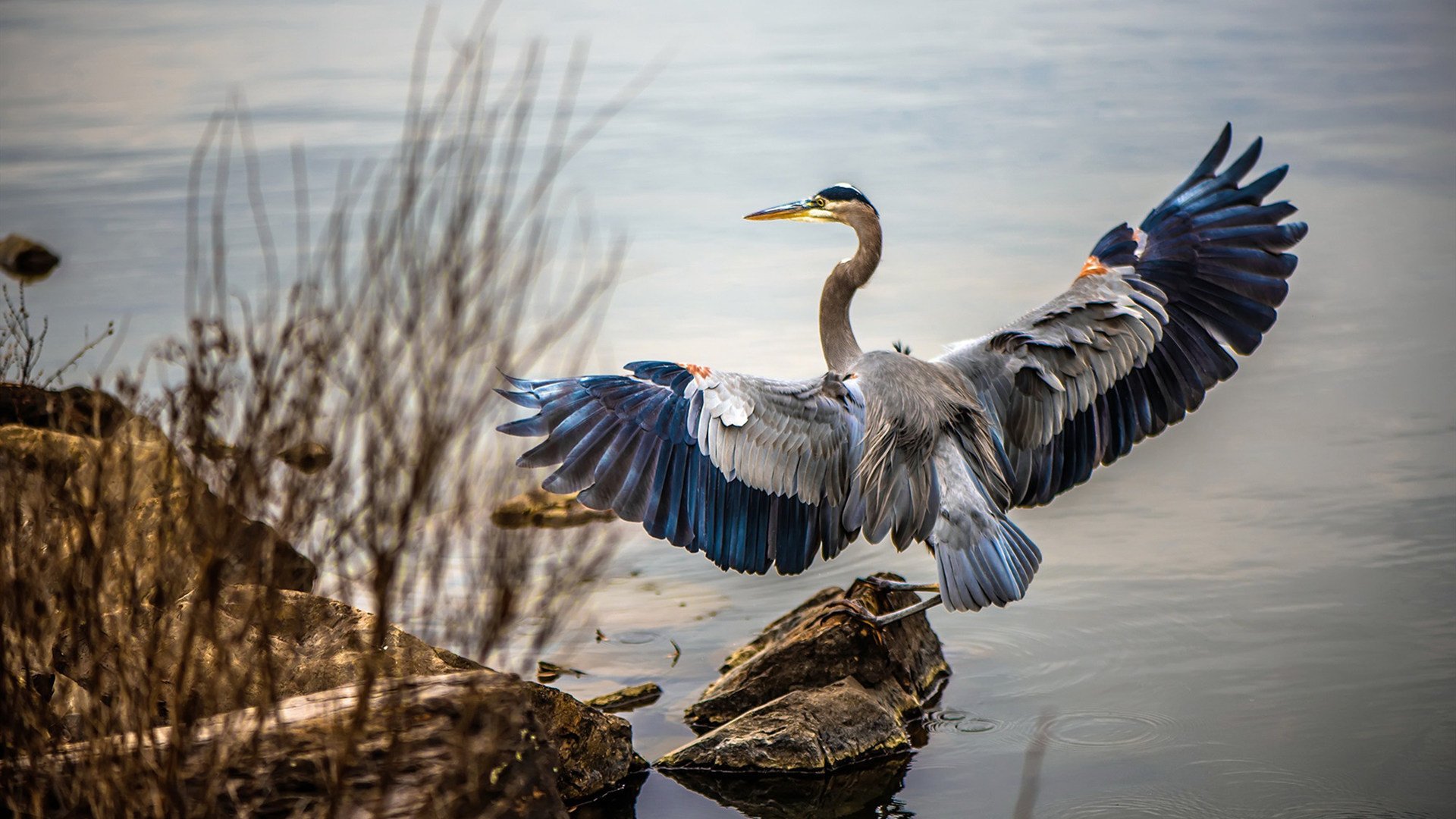 冬奥神队？墨西哥靠足球冰场逆天翻盘，墨西哥国奥队