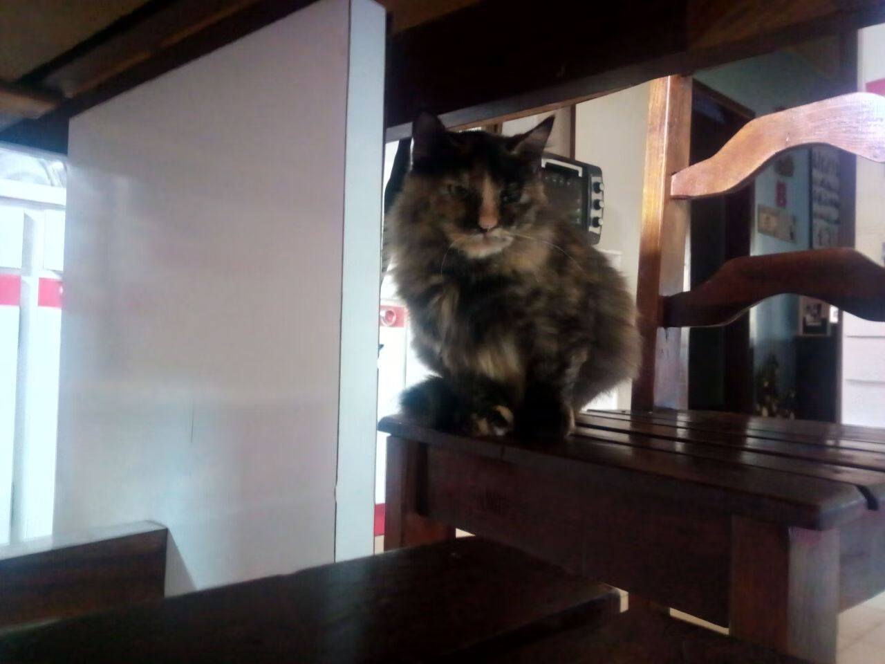 塞内加尔队中场贝尔特拉在巴黎奥运会上展现出强大的进攻组织能力