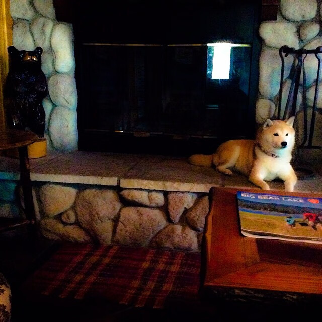 征战全球：台球运动的国际影响力不断扩大，台球国际上叫什么名字