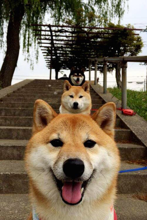 广州队青训梯队夺得U19全国冠军，广州队青训全面压缩