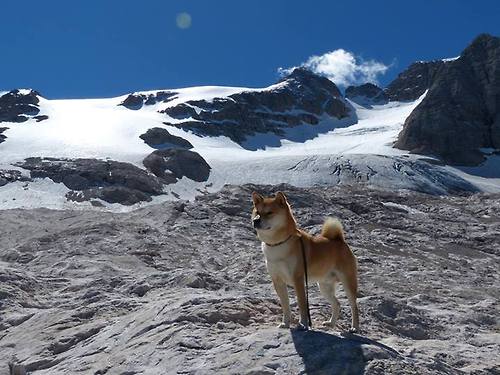 战队故事：球队背后的文化与故事传承，球队简介50字