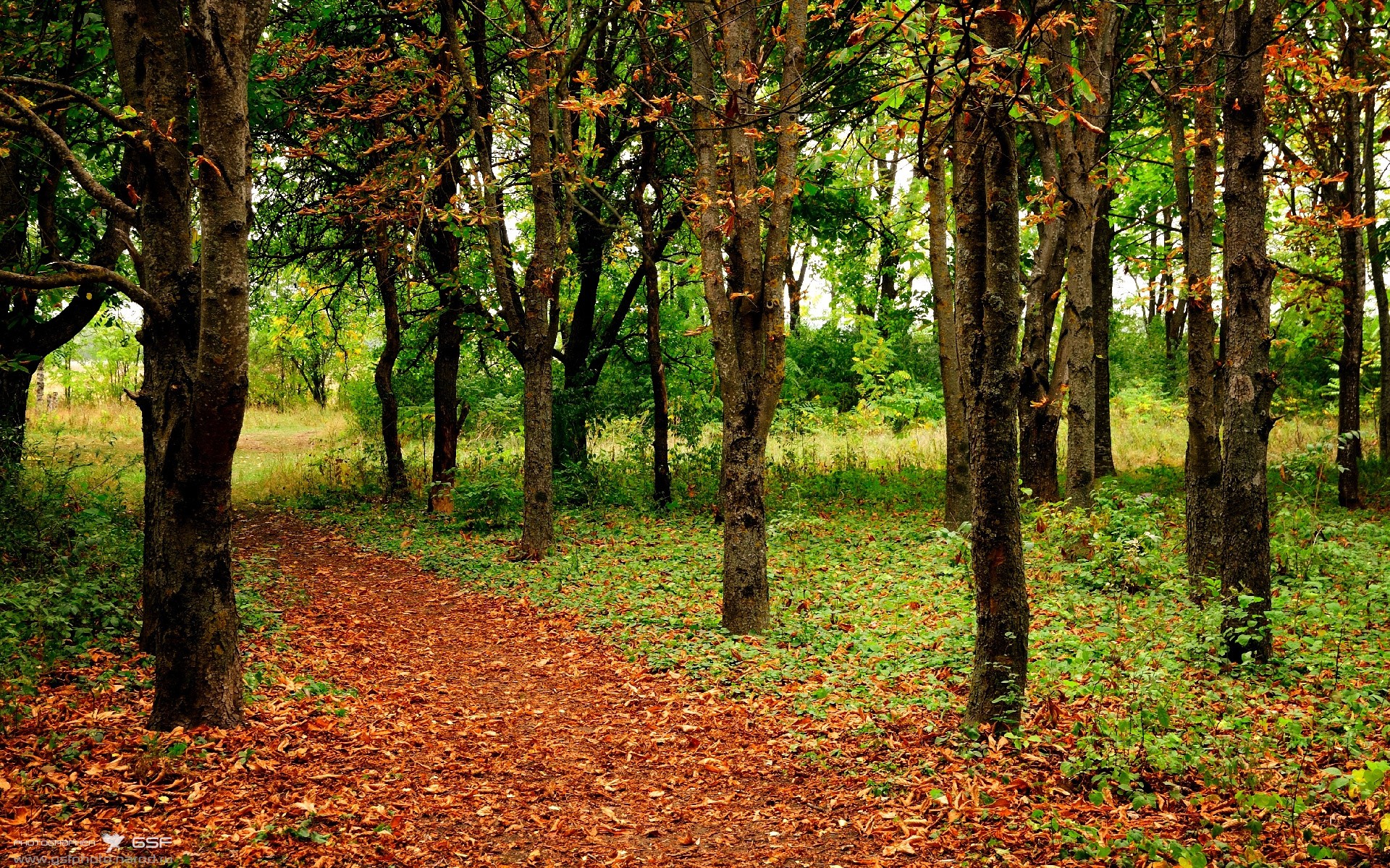 世俱杯比赛视频在线观看-意甲联赛引入视频助理裁判系统（VAR），意甲直播视频源