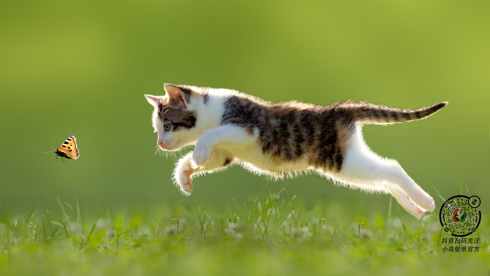 意甲豪门纷纷引援,豪华阵容再升级,意甲豪门球队