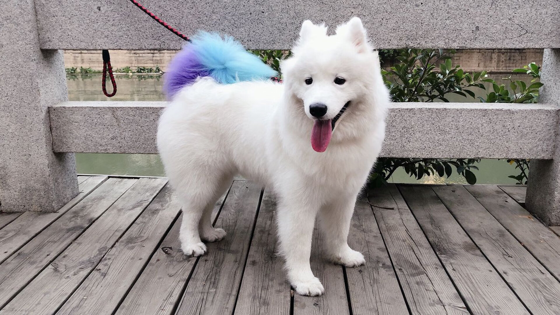 皇马“以旧换新”，引入多名欧洲未来之星，造未来，皇马回购的球员