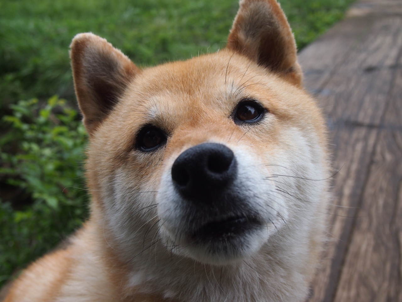 FaZe有望带动LCS娱乐化转型，faze clan成员