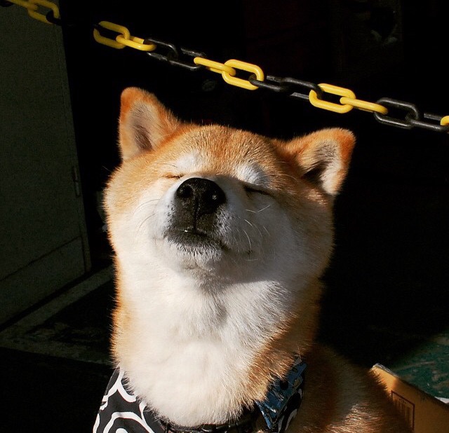 塞尔维亚队迎来胜利 马其顿战败，塞尔维亚队迎来胜利 马其顿战败原因