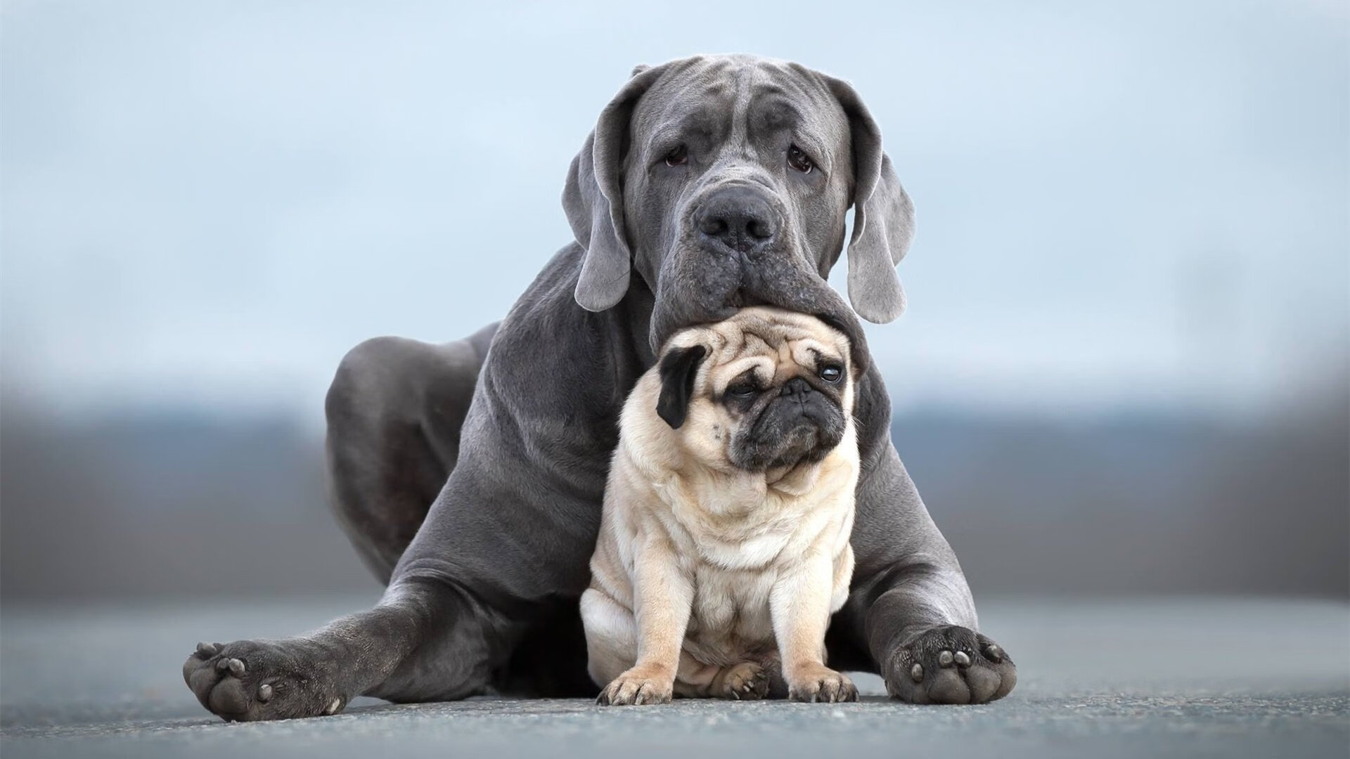尼斯锋线摩根重回训练场，备战工作全面展开，摩根尼斯钥匙本