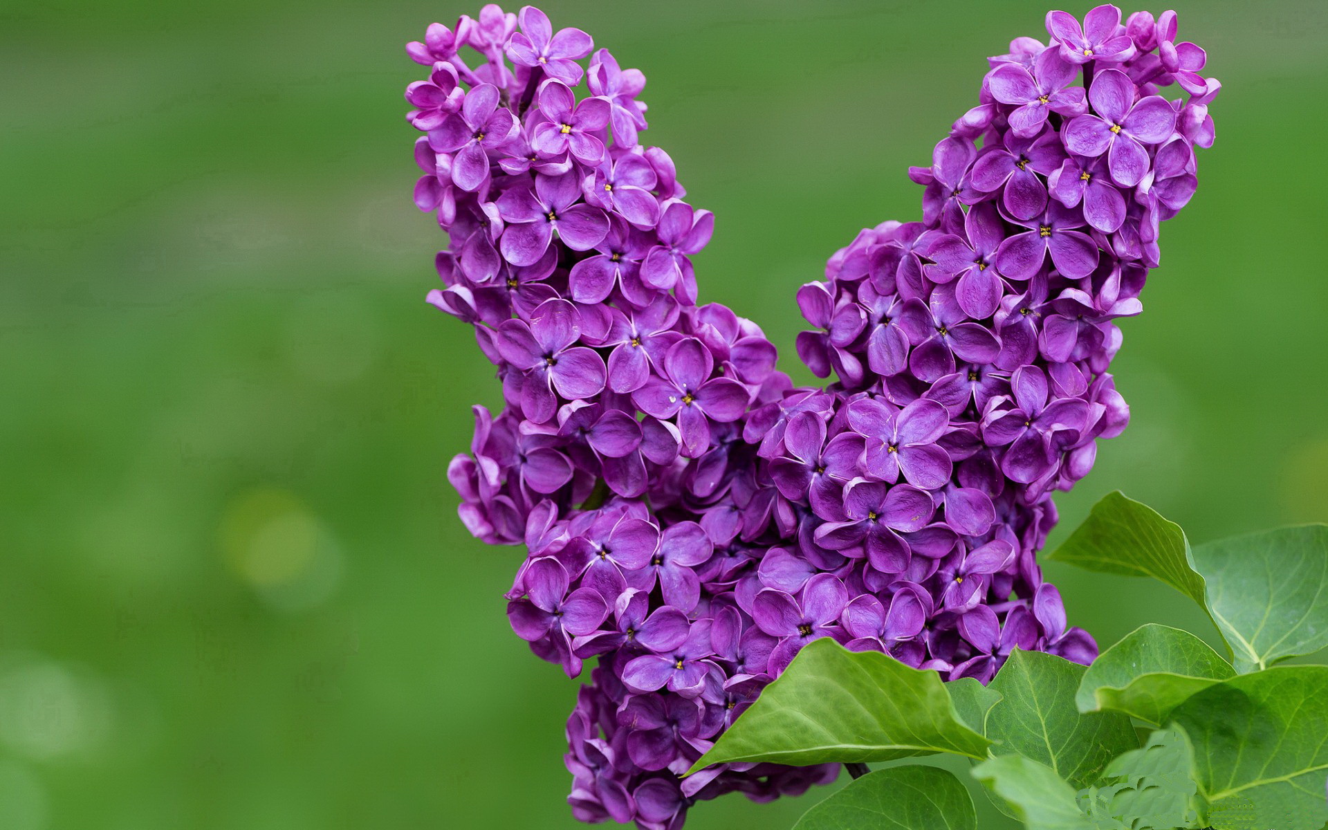 青少年户外运动安全教育体系建设方案，青少年户外体验式教育