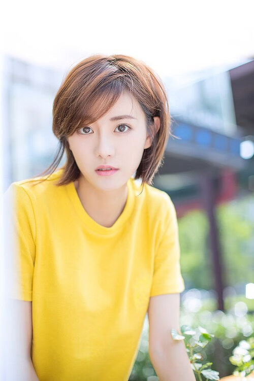 世界围棋赛赛事组织井然有序，世界围棋赛事一览