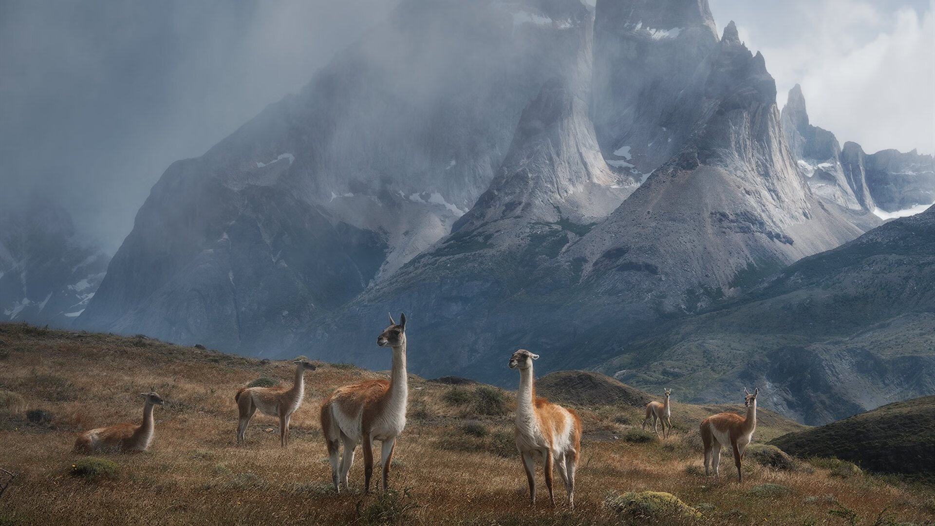 世界围棋赛赛事组织井然有序，世界围棋赛事一览