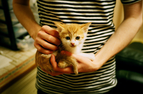 “电动冲浪:马鞍山赛场成为未来水上运动的展示平台”