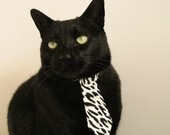 亚洲杯中国女足战平 球迷期待未来表现，女足亚洲杯资格赛