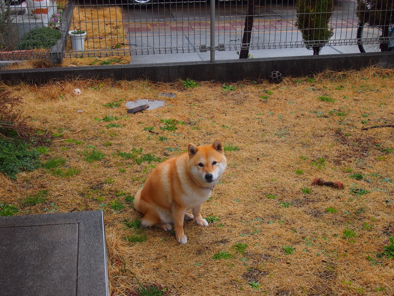 2025世俱杯赛程-俱乐部战术风格同质化严重，俱乐部战略性计划