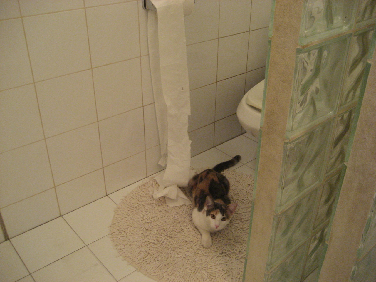 2025世俱杯对阵表-俱乐部管理制度改革缓慢，俱乐部制度有哪些