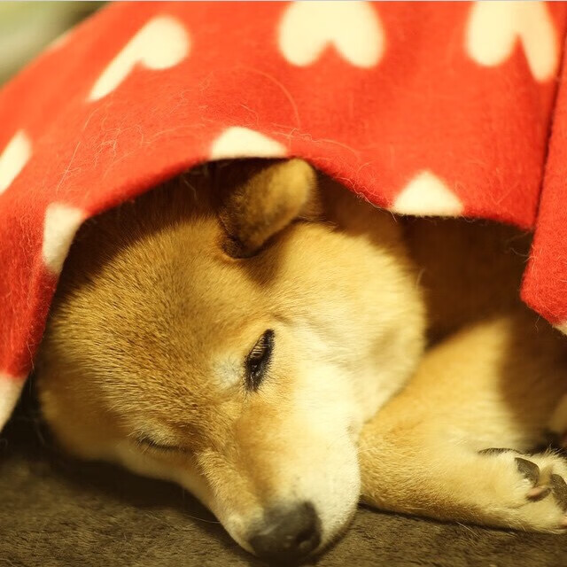 团队沟通机制成熟，现场调度效率高，团队沟通策略